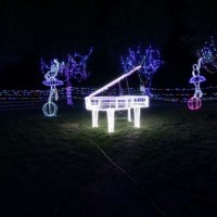 夢幻燈光藝術節安裝燈光展出租