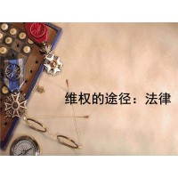 快訊！KARINDA不正規！海龜分析師誘導爆倉黑幕震驚揭秘！