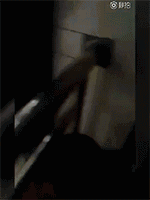 640.gif