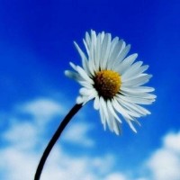 騰鼎金服不正規(guī)！紅松資本私募林東王偉坑我?guī)资f(wàn)！一招教你追回
