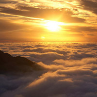曝光！sunshine正規(guī)嗎？不為人知內(nèi)幕真相揭秘