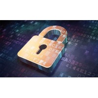 上海金大師嚴為民師晨冰可信嗎？真相揭秘金大師APP背后陷阱！