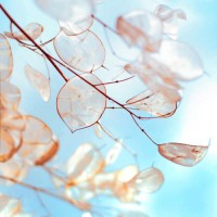 真相揭露點掌資本不正規(guī)內(nèi)幕！揭揭露騙局真相本人親身經(jīng)歷告誡