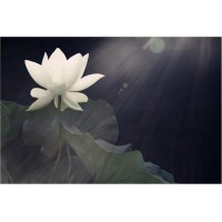 新紀(jì)元期貨騙局曝光?老師套路太深,頻繁虧損是被騙?