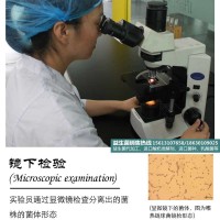 【酸菌OEM|一然生物】吉首|發(fā)酵劑牌子|優(yōu)質供應
