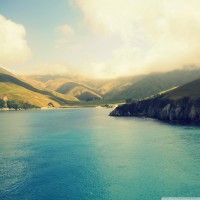 海農(nóng)中藥材正規(guī)嗎？是騙局嗎？跟上老師操作竟然虧損一敗涂地！