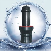 天津軸流泵 潛水軸流泵 中吸式軸流泵 海水軸流泵型號(hào)