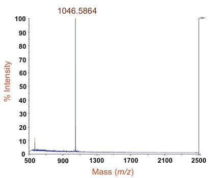 分子量測定研究案例