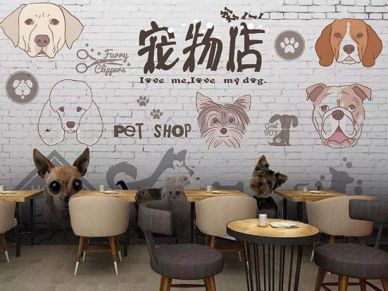 寵物店