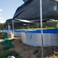 帆布魚池能用多久帆布水池耐用8-10年鍍鋅板養殖帆布池蓄水池