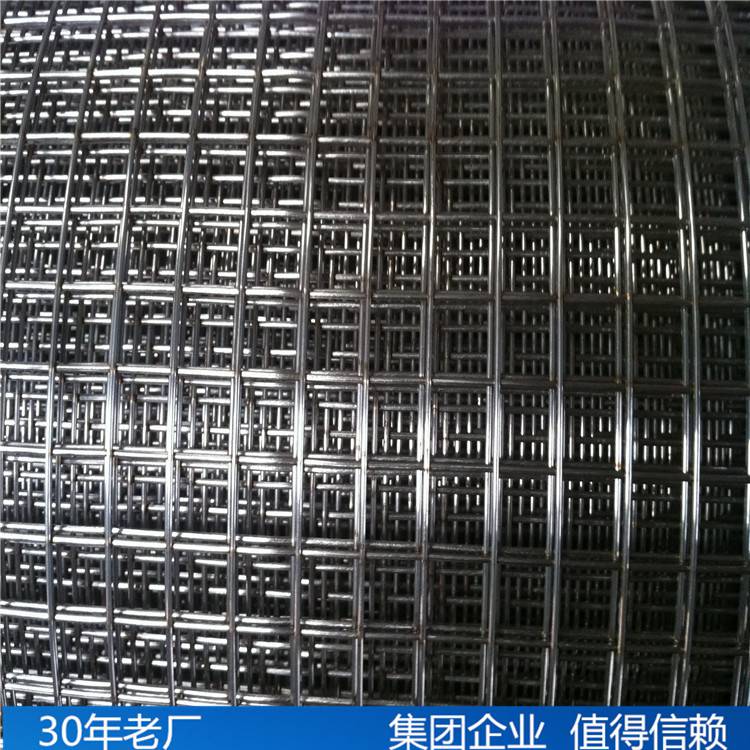 鐵絲網興來鋼結構鍍鋅電焊鐵絲網廠家直銷