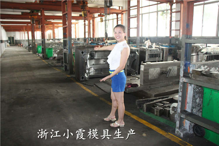 汽車模具 (80)