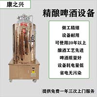 鷹潭康之興500L 自釀啤酒 啤酒釀造 廠家直供 來圖定做