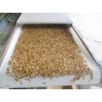 微波黃粉蟲膨化干燥設備、食品微波干燥設備