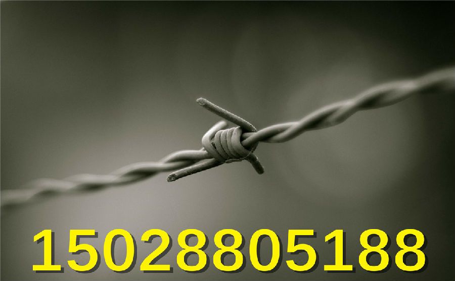 不銹鋼刺繩價格 不銹鋼刺繩價格