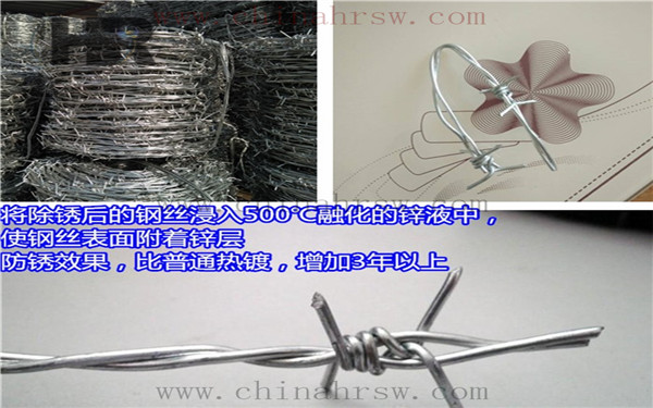 帶刺鐵絲網(wǎng) 帶刺鐵絲網(wǎng)