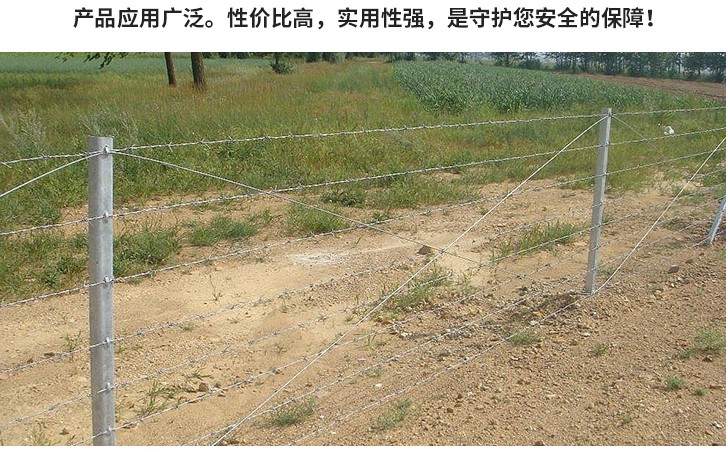 刺絲安裝 刺絲安裝