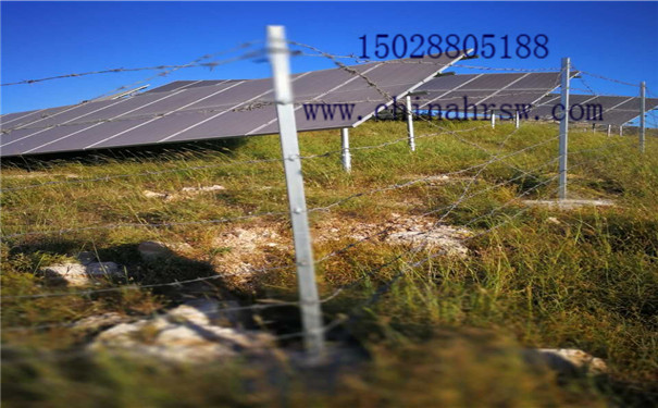 刺絲圍欄 刺絲圍欄