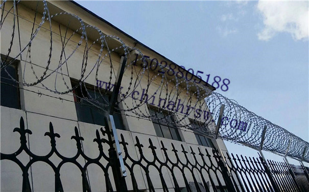 刺繩防護網價格 刺繩防護網價格