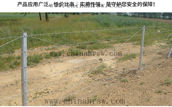 刺繩護(hù)欄網(wǎng) 刺繩護(hù)欄網(wǎng)