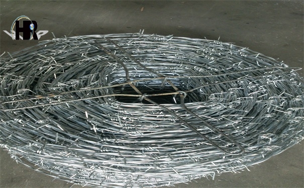 DSC_1332.jpg DSC_1332.jpg