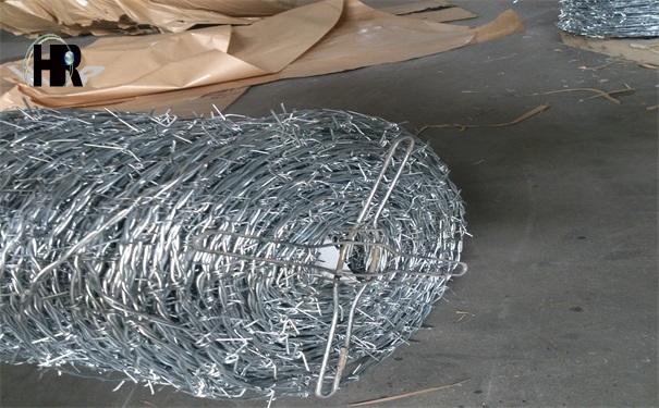 DSC_1334.jpg DSC_1334.jpg