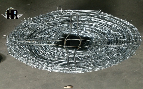 DSC_1330.jpg DSC_1330.jpg